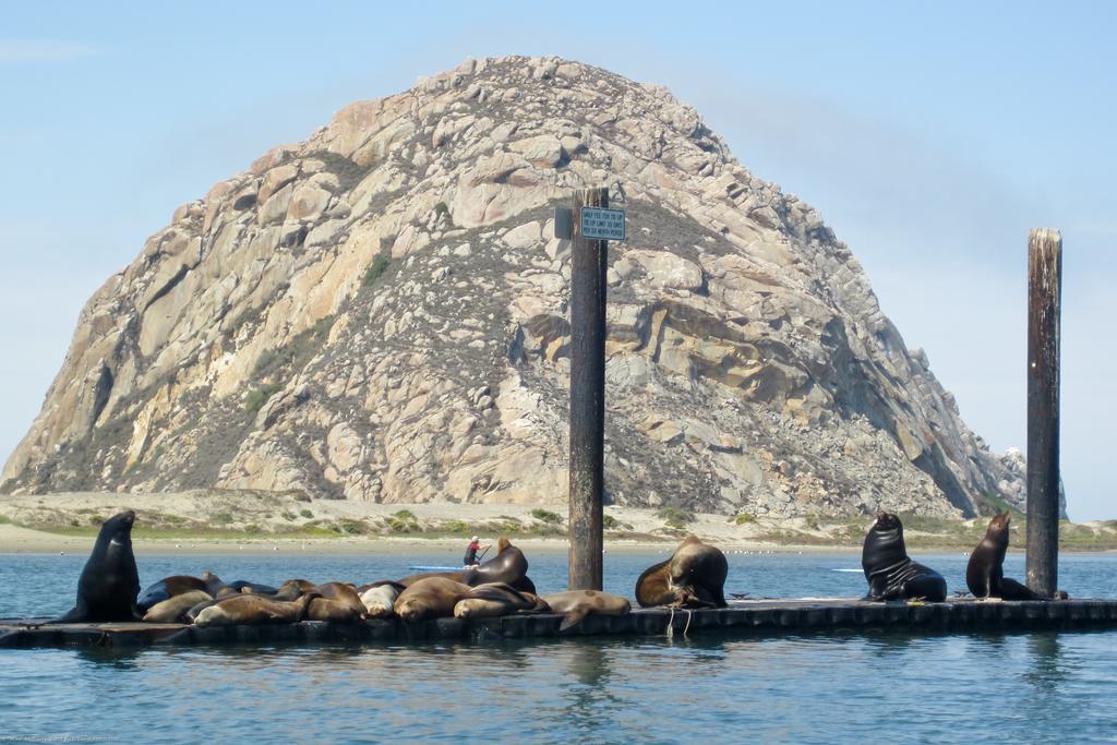 Morro Crest Inn Morro Bay Eksteriør billede